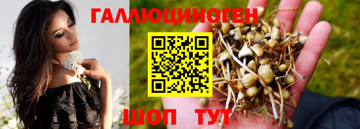 Канаш  Псилоцибиновые грибы Psilocybine cubensis  Псилоцибиновые грибы Psilocybe  купить наркотики сайты  Вход с VPN 